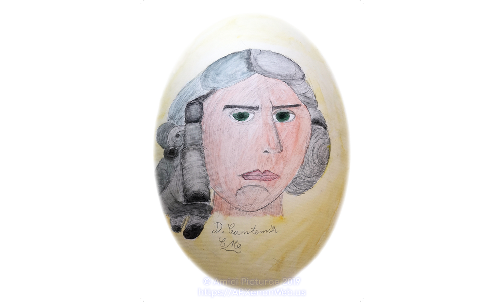 025.-Ceuca-Maria-Portret-Dimitrie-Cantemir-pictura-pe-pinza-5B-prof.-coord.-prof.-dr.-Ofelia-Hutul-LTDC