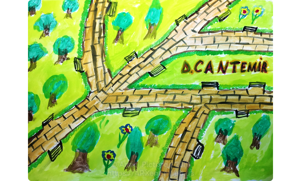 054.-Morariu-Rares-D.-Cantemir-5B-prof.-coord.-prof.-dr.-Ofelia-Hutul-LTDC