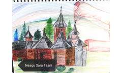 104.-Neagu-Sara-12-ani