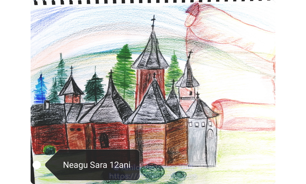 104.-Neagu-Sara-12-ani